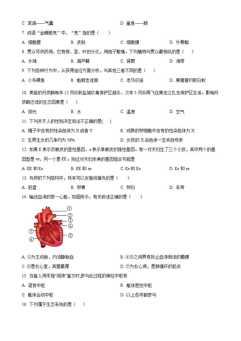 2024年河南省商丘市夏邑县八年级中考二模生物试题（原卷版+解析版）02
