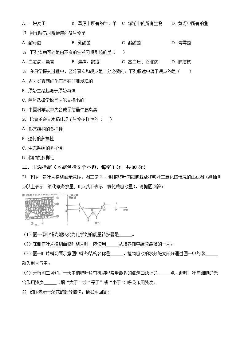 2024年河南省商丘市夏邑县八年级中考二模生物试题（原卷版+解析版）03