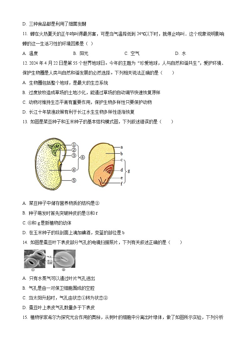 2024年江苏省扬中市中考二模生物试题（原卷版+解析版）03
