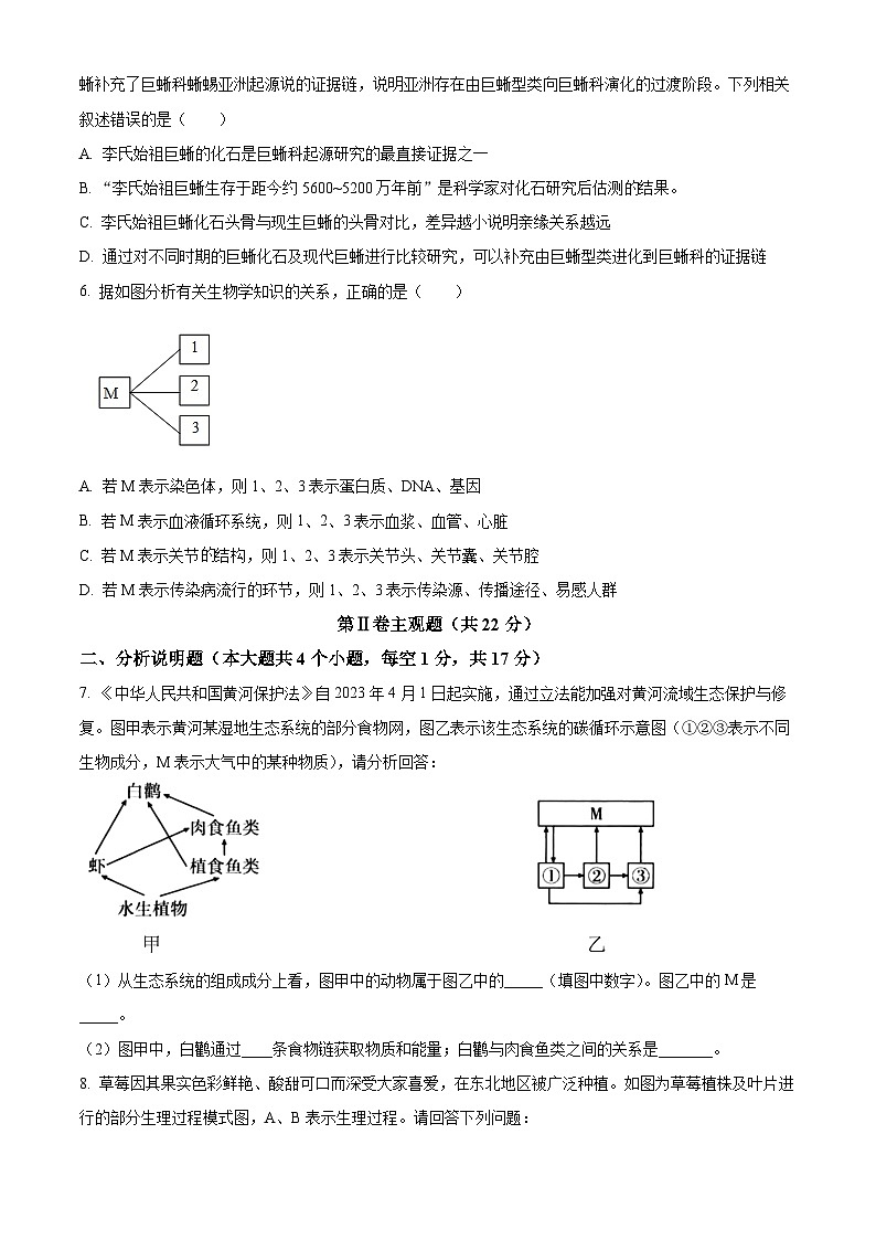 2024年四川省泸州市江阳区九年级一模生物试题（原卷版+解析版）02