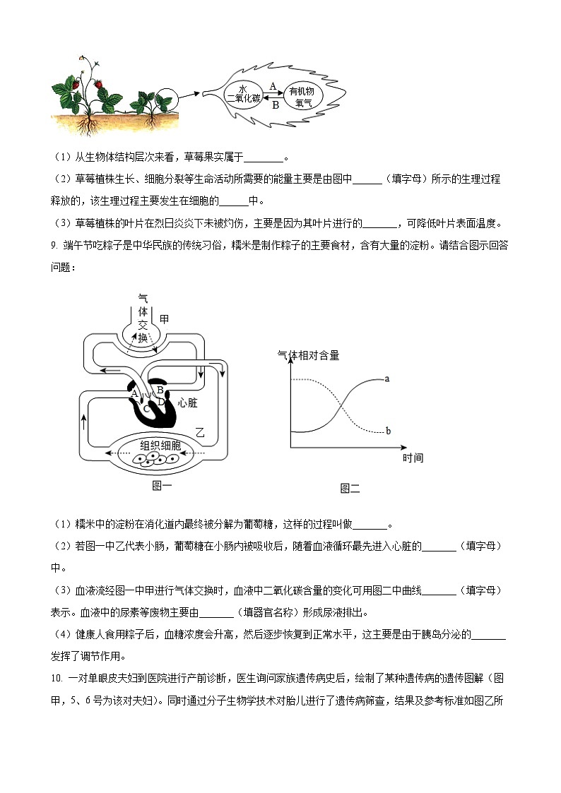 2024年四川省泸州市江阳区九年级一模生物试题（原卷版+解析版）03