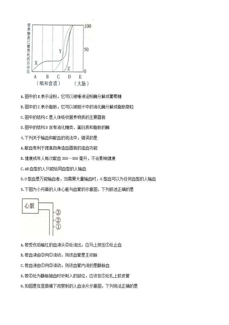 河南省安阳市滑县师达学校2023-2024学年七年级下学期6月期末生物试题02