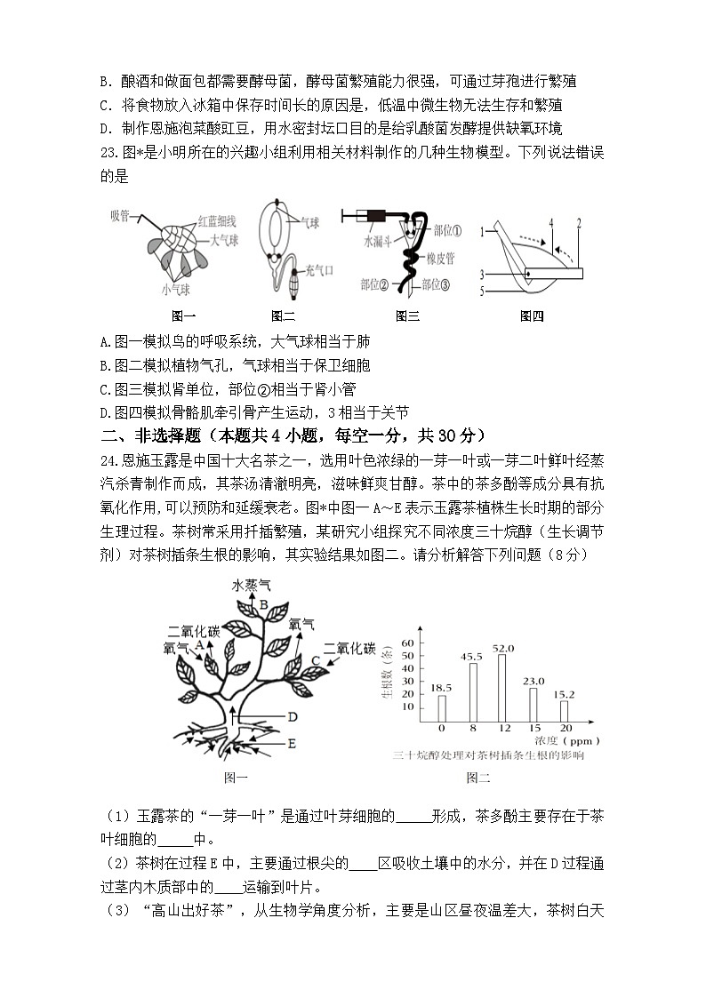 2024年湖北省恩施市中考第二次适应性考试生物试题卷第3页