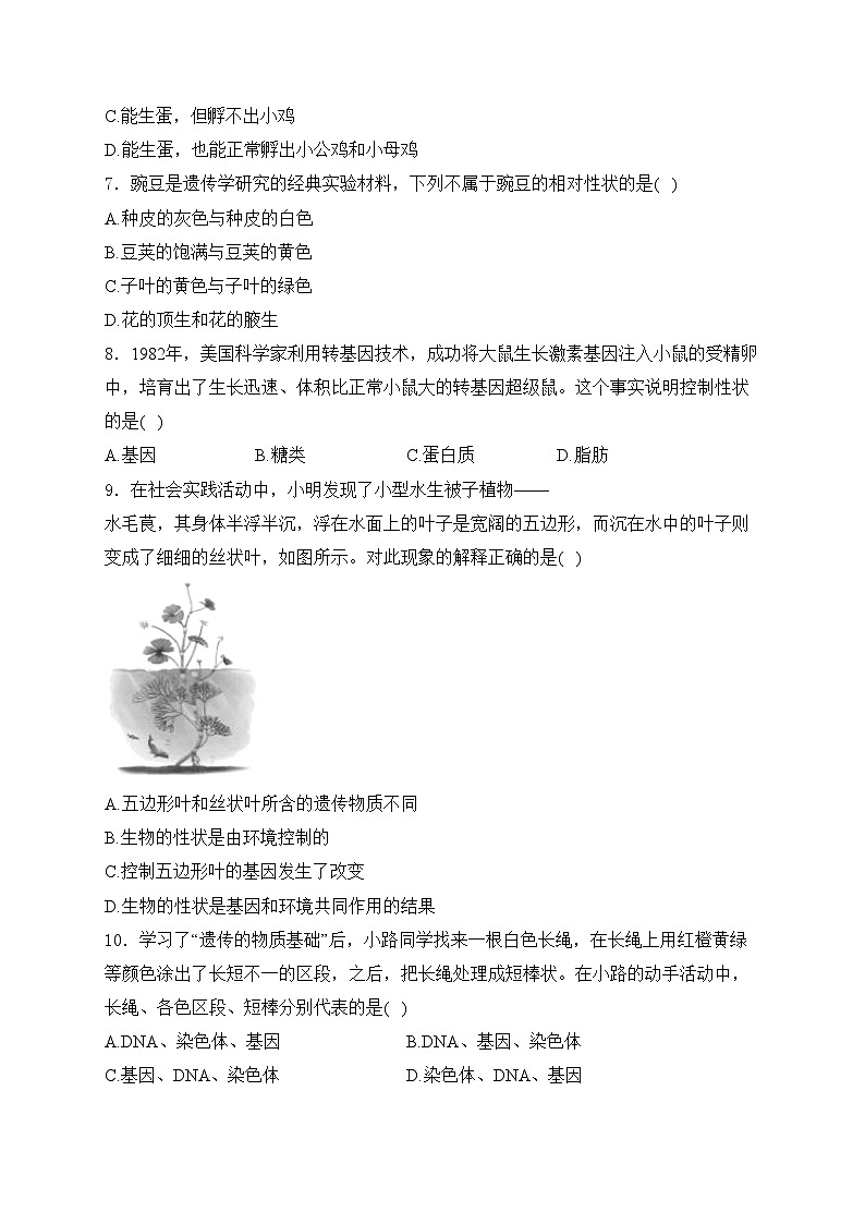 贵州省黔南布依族苗族自治州罗甸县2023-2024学年八年级下学期期中考试生物试卷(含答案)第2页
