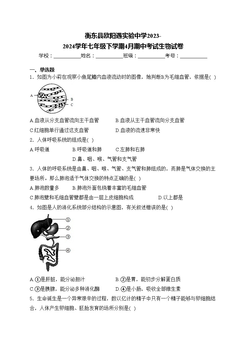 衡东县欧阳遇实验中学2023-2024学年七年级下学期4月期中考试生物试卷(含答案)第1页