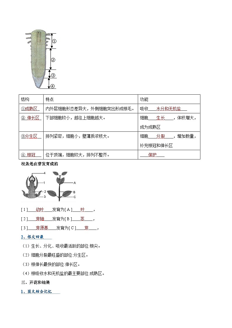 压轴题03  被子植物的一生 （原卷版）第2页