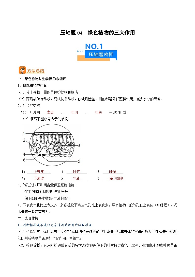 中考生物 压轴题04  绿色植物的三大作用 （原卷版+解析版）01