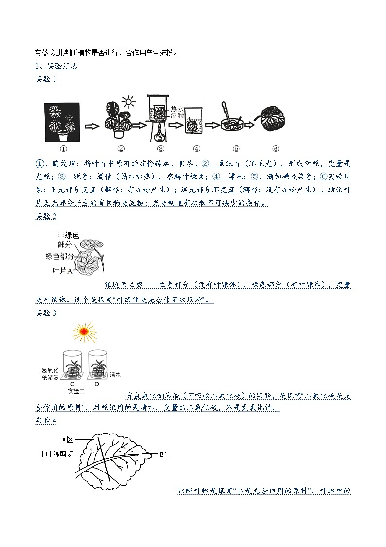 中考生物 压轴题04  绿色植物的三大作用 （原卷版+解析版）02