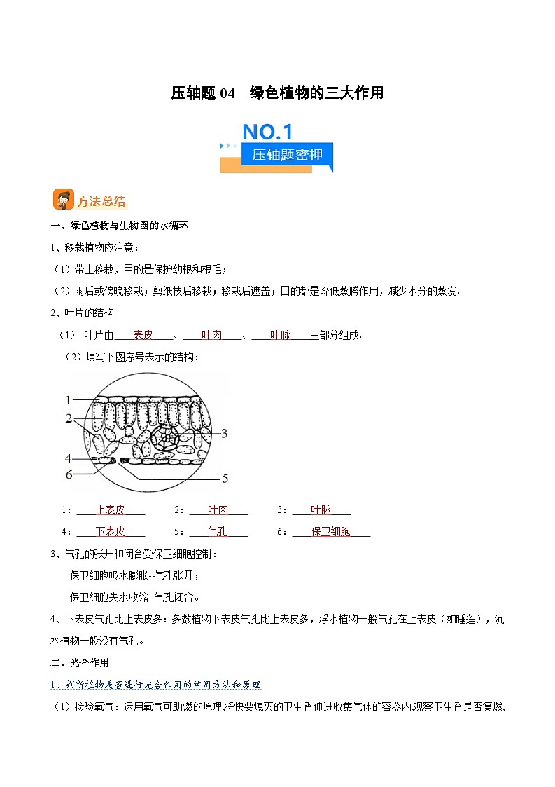 中考生物 压轴题04  绿色植物的三大作用 （原卷版+解析版）01