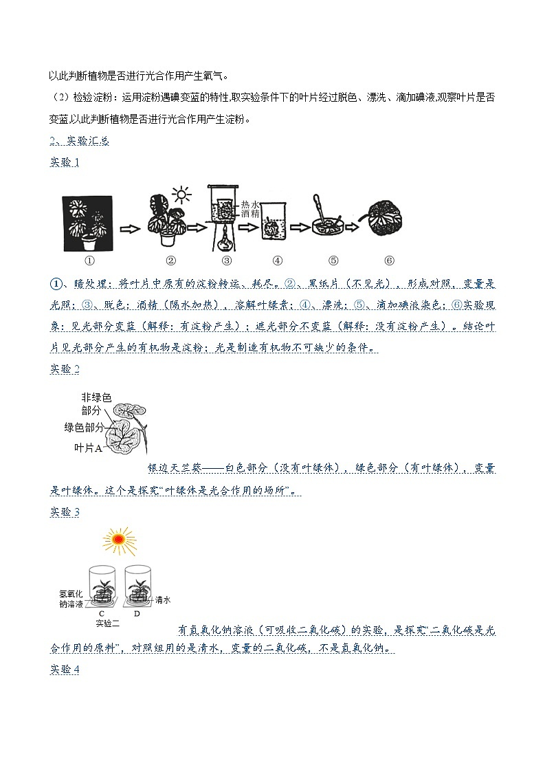 中考生物 压轴题04  绿色植物的三大作用 （原卷版+解析版）02