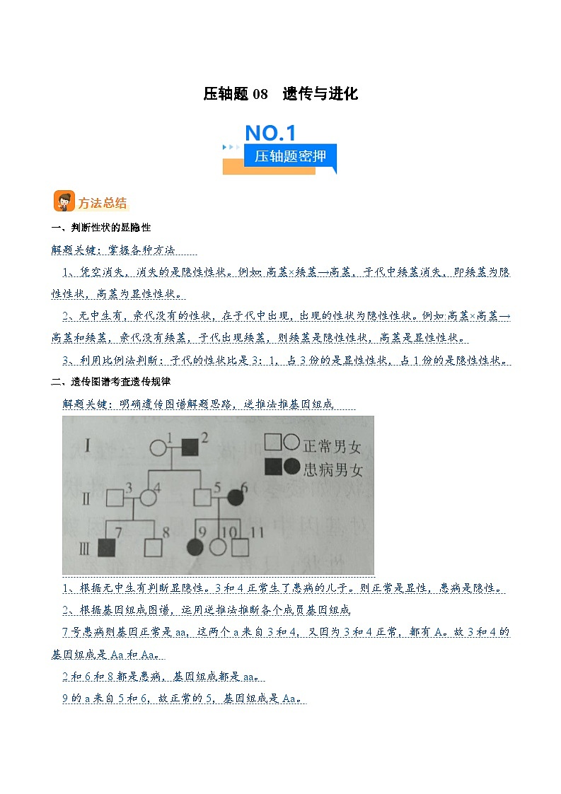 压轴题08  遗传与进化 （解析版）第1页