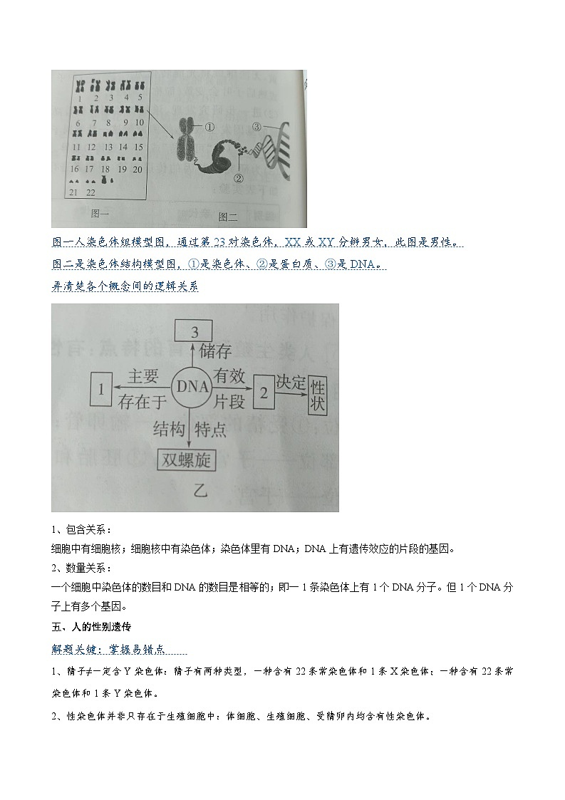 压轴题08  遗传与进化 （解析版）第3页
