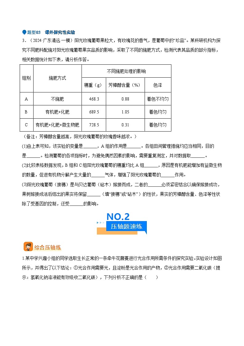 压轴题09  实验探究（原卷版）第3页