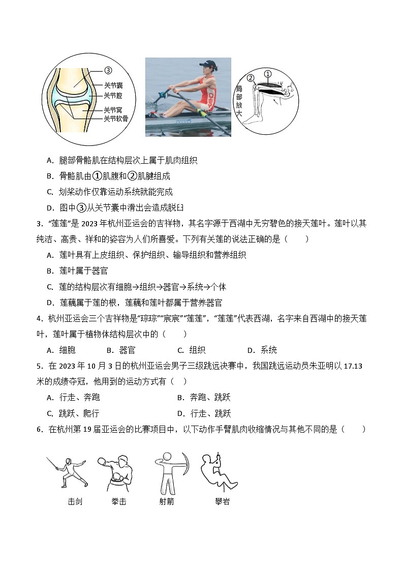 押热点02 杭州亚运会-2024年中考生物社会热点整理及试题预测（原卷版）第3页