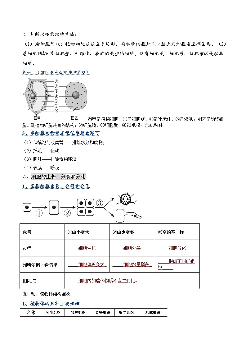 压轴题02  生物体的结构层次（原卷版+解析版）03