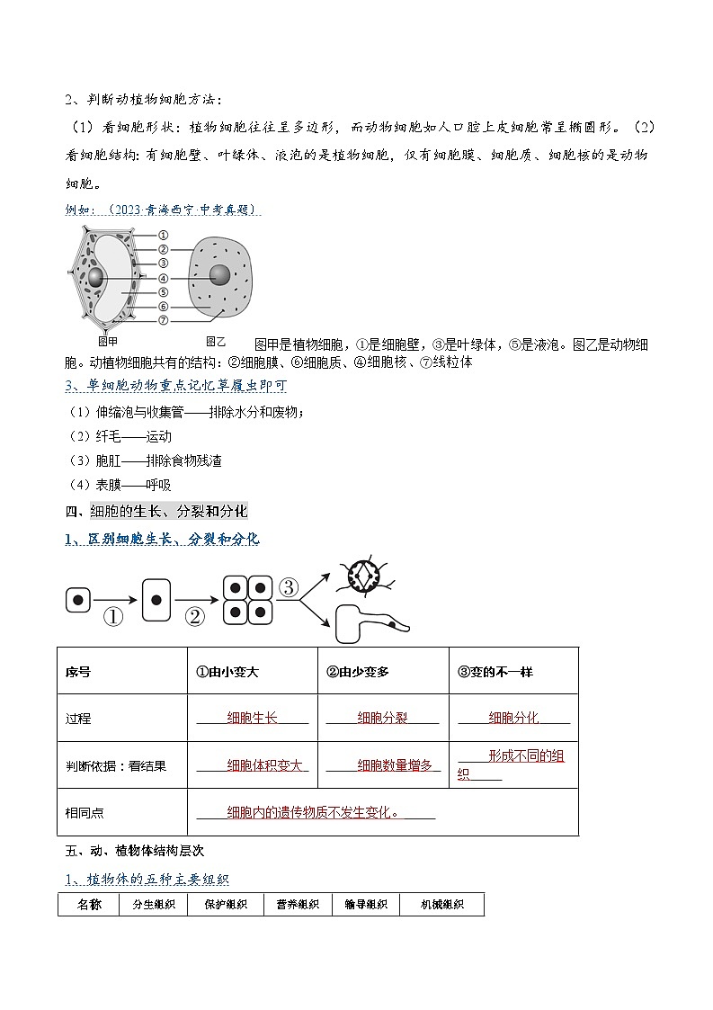 压轴题02  生物体的结构层次（原卷版+解析版）03