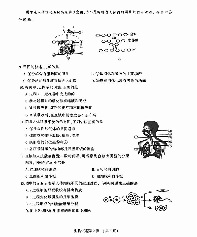 2024年福建省八年级多校联考中考模拟测试生物试题02