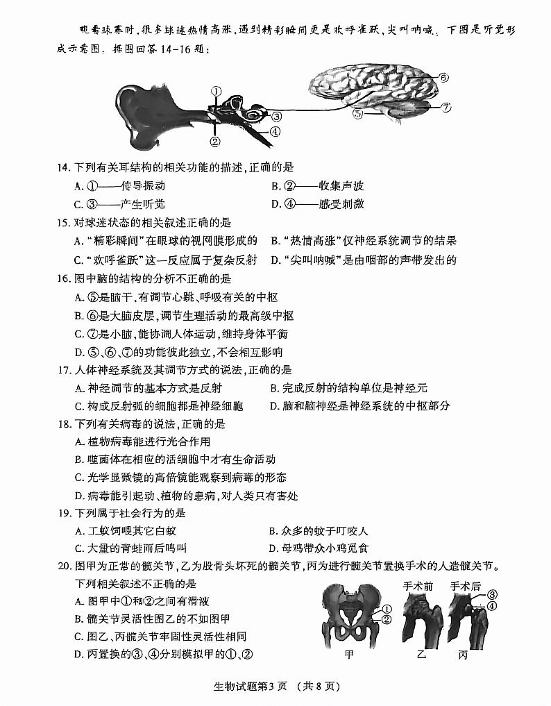 2024年福建省八年级多校联考中考模拟测试生物试题03