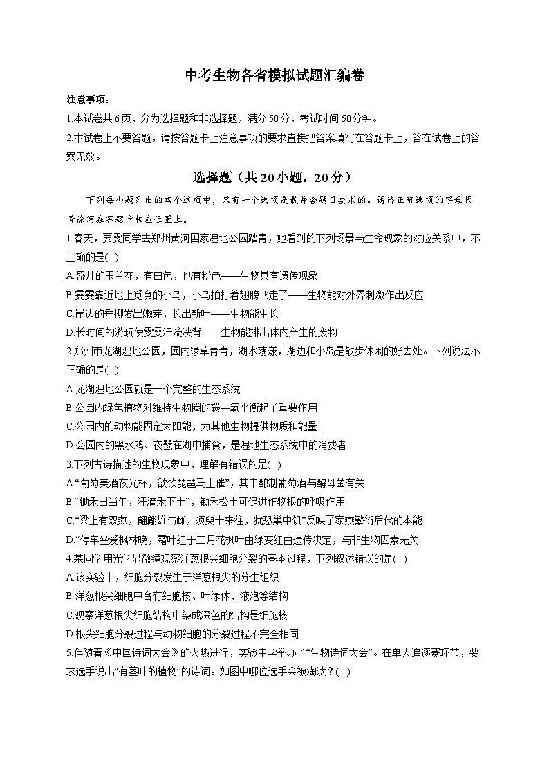 中考生物各省模拟试题汇编卷 （word版，含解析）第1页