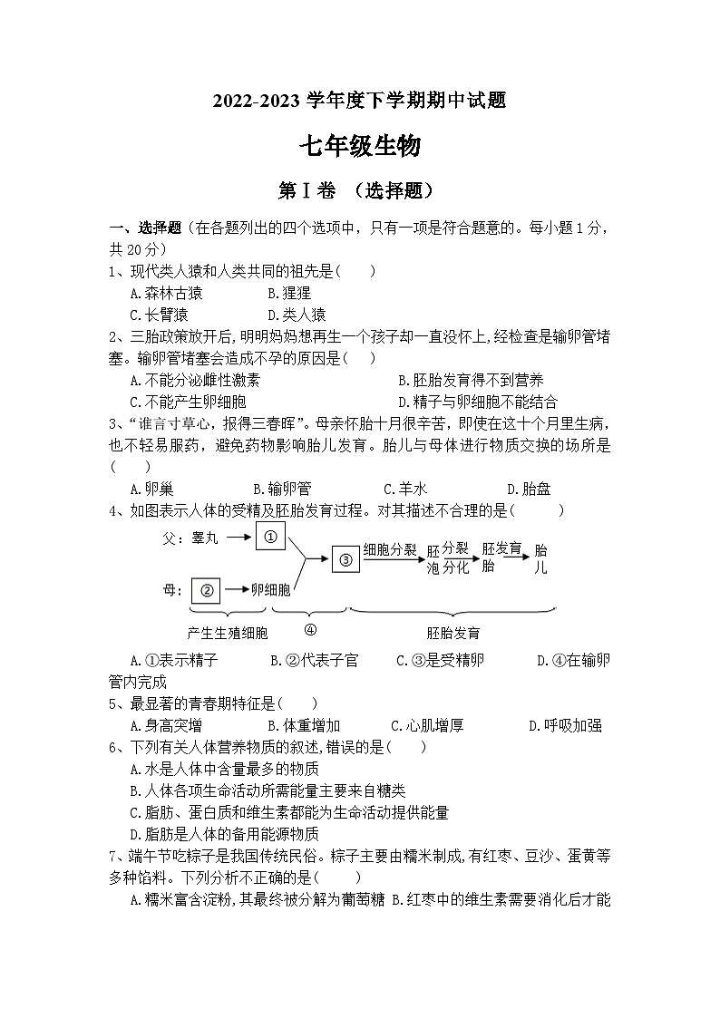 湖北省随州市曾都区4校2022-2023学年七年级下学期4月期中生物试题+第1页