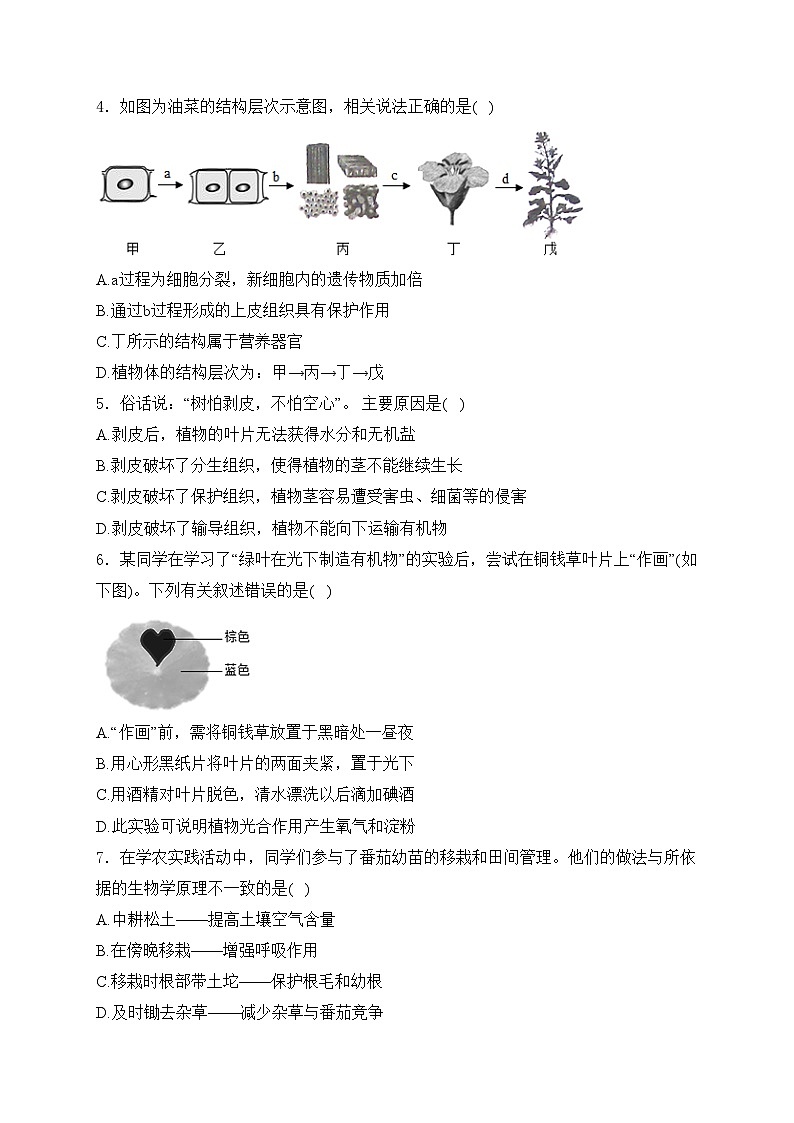 山东省济宁市金乡县2023-2024学年八年级下学期5月月考生物试卷(含答案)第2页
