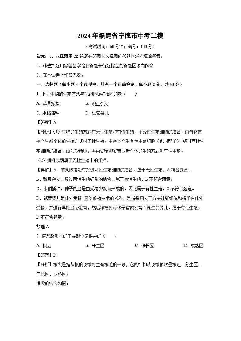 生物：2024年福建省宁德市中考二模试卷（解析版）01