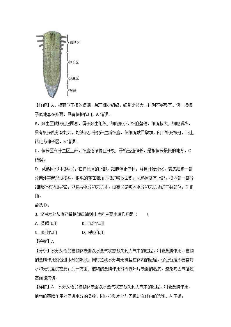 生物：2024年福建省宁德市中考二模试卷（解析版）02