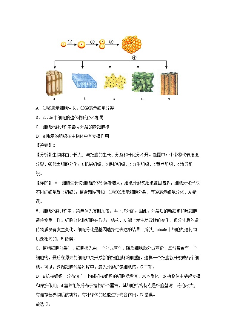 生物：卷03-2024年中考生物考前冲刺模拟卷（安徽卷）（解析版）02
