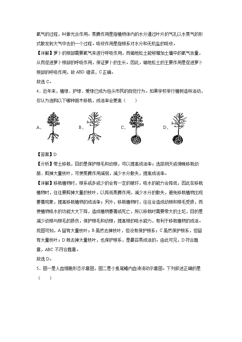 生物：卷04-2024年中考生物考前冲刺模拟卷（安徽卷）（解析版）03
