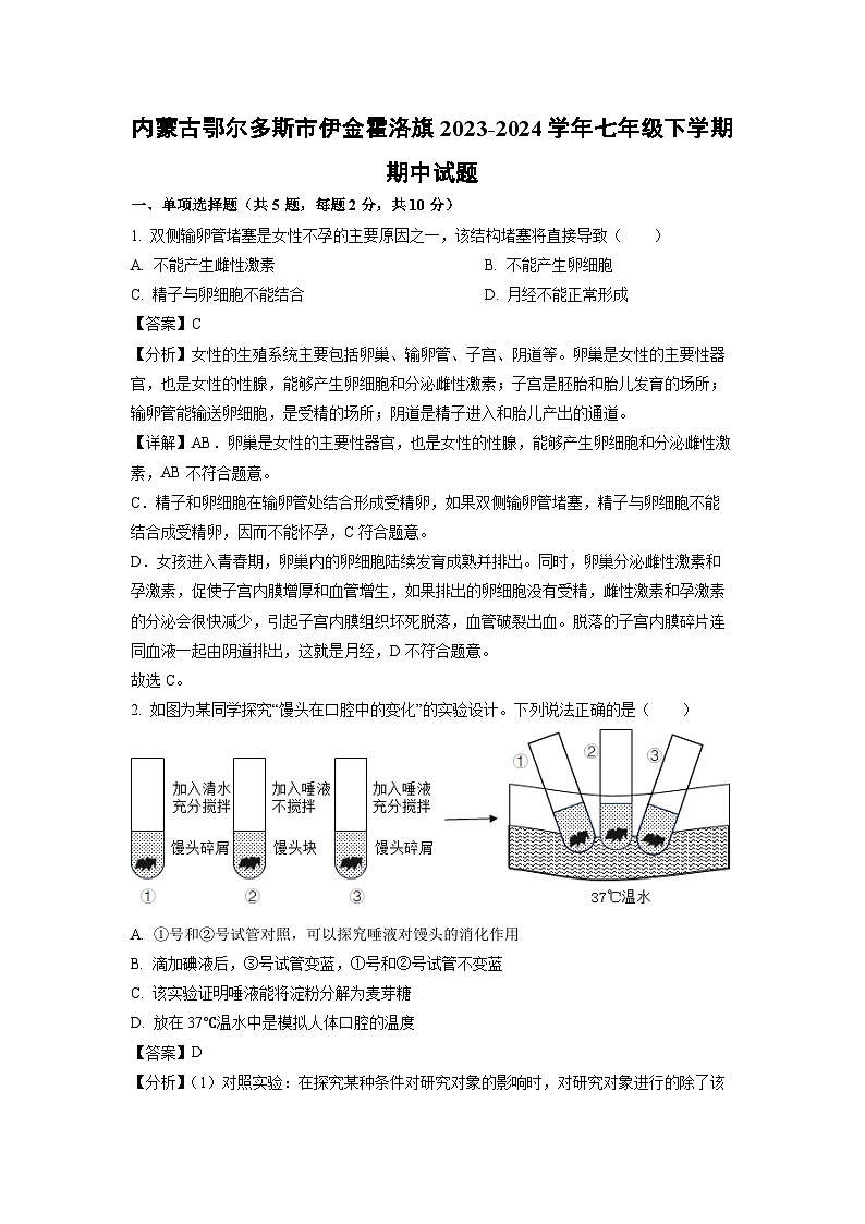 生物：内蒙古鄂尔多斯市伊金霍洛旗2023-2024学年七年级下学期期中试题（解析版）01