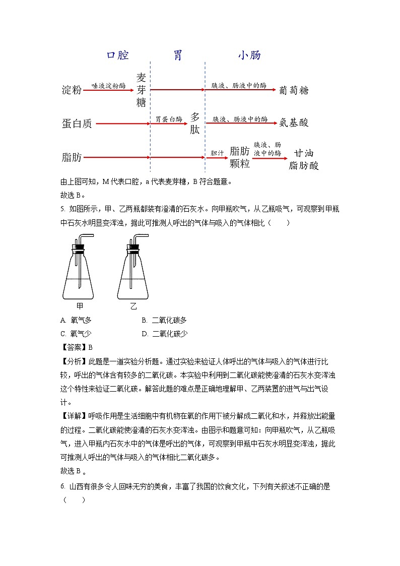 生物：山西省晋中市寿阳县2023-2024学年七年级下学期期中试题（解析版）03