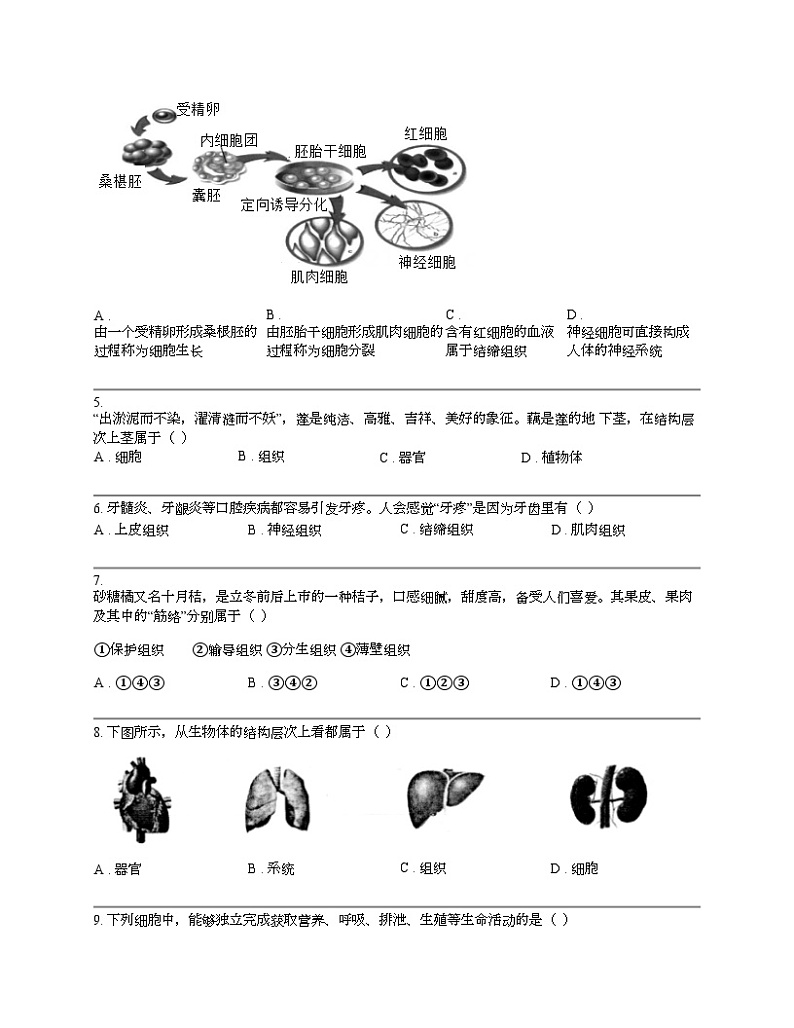 江苏省南通市通州区2023-2024学年七年级下学期4月期中生物试题02