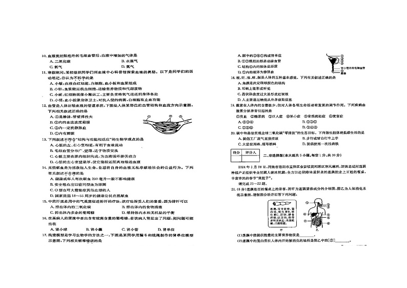河南省周口市商水县希望初级中学2023-2024学年七年级下学期6月月考生物试题第2页