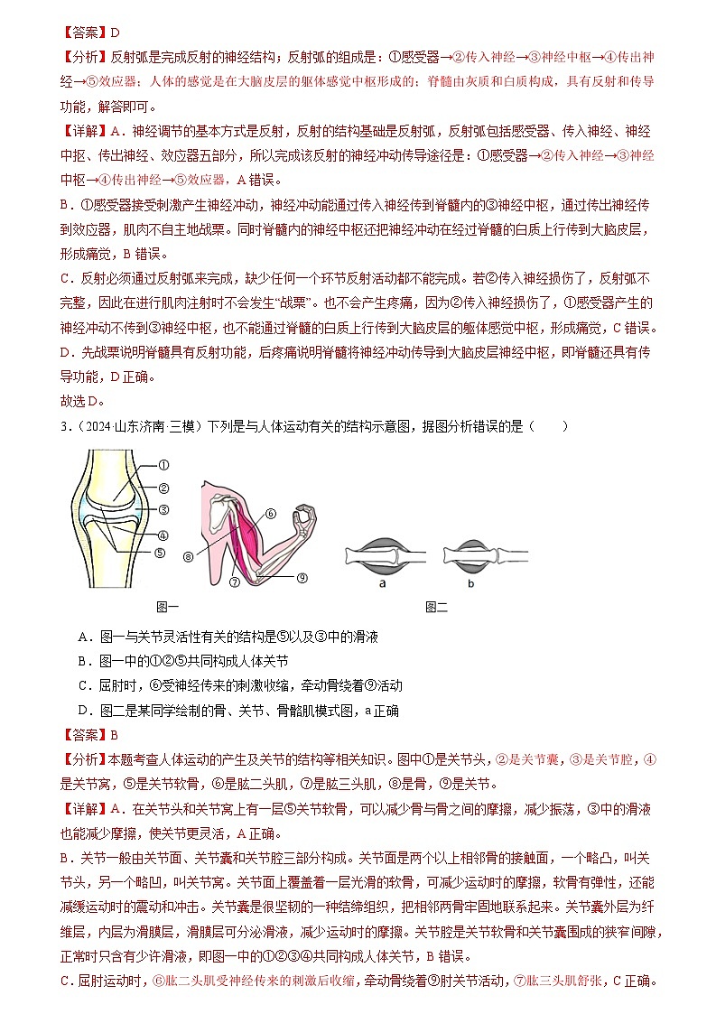 专题04 生物圈中的人(解析版)第2页