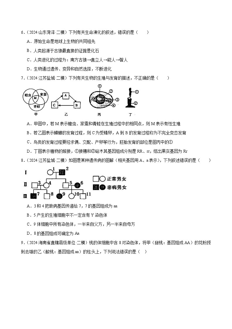 专题06 生物圈中生命的延续与发展 (试卷版)第2页