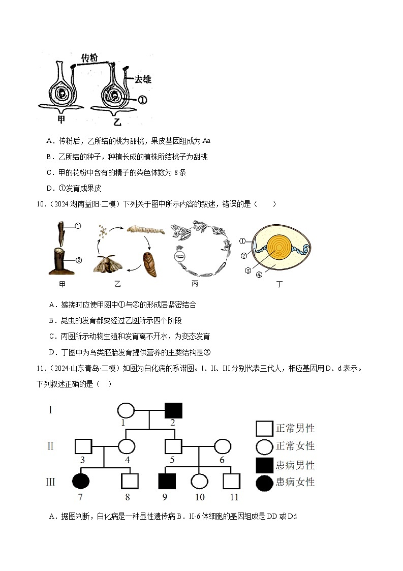 专题06 生物圈中生命的延续与发展 (试卷版)第3页