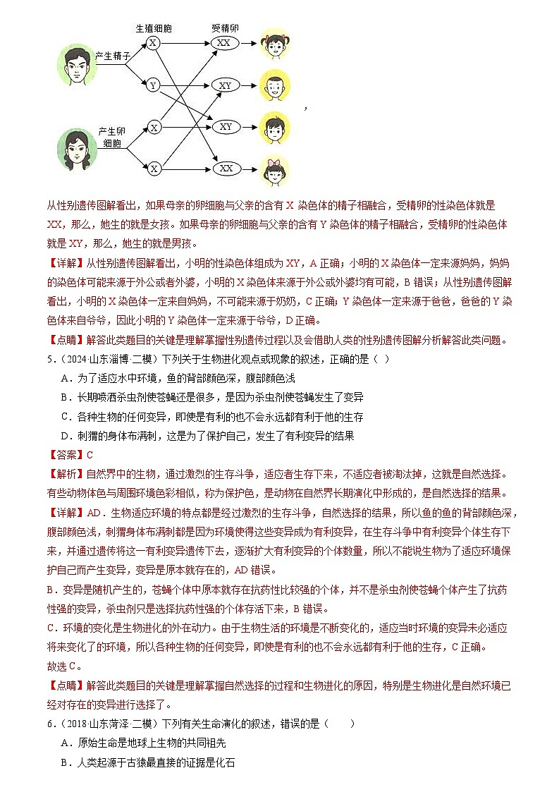 专题06 生物圈中生命的延续与发展(解析版)第3页