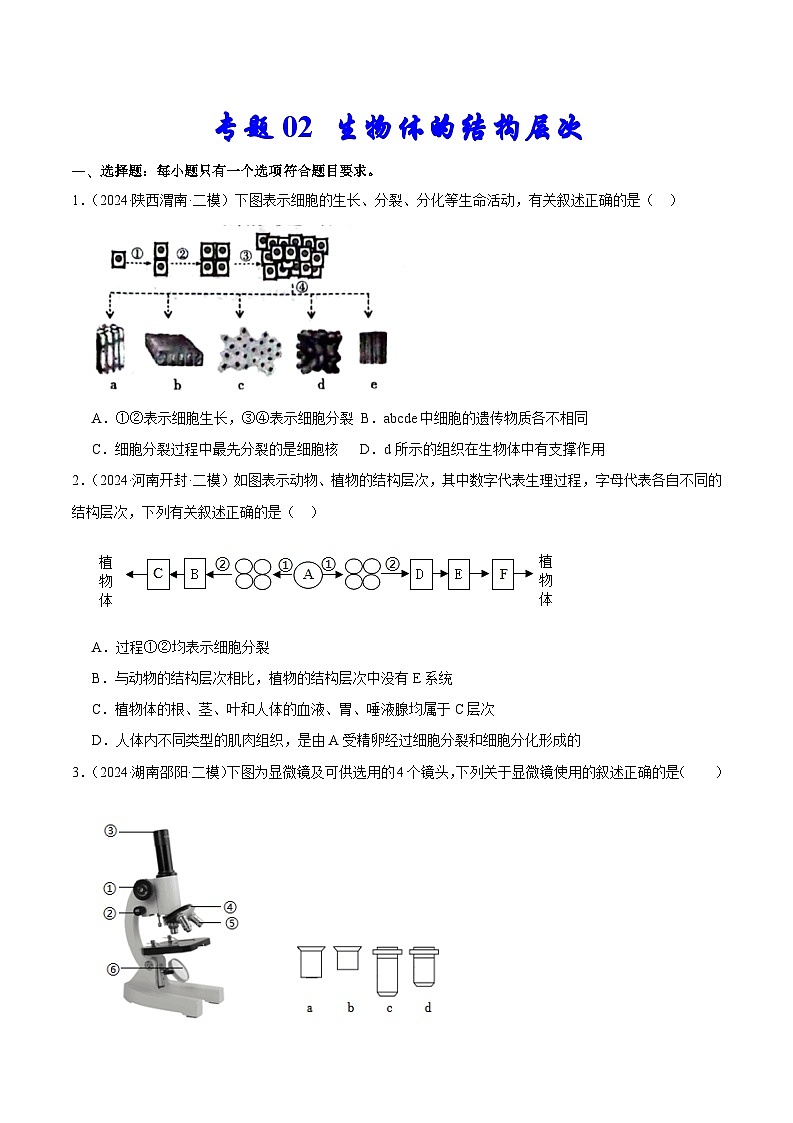 专题02 生物体的结构层次(试卷版)第1页