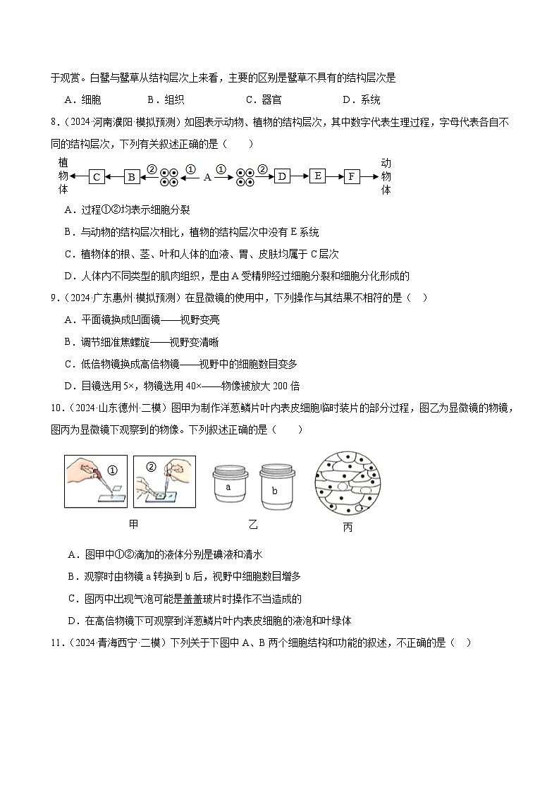 专题02 生物体的结构层次(试卷版)第3页