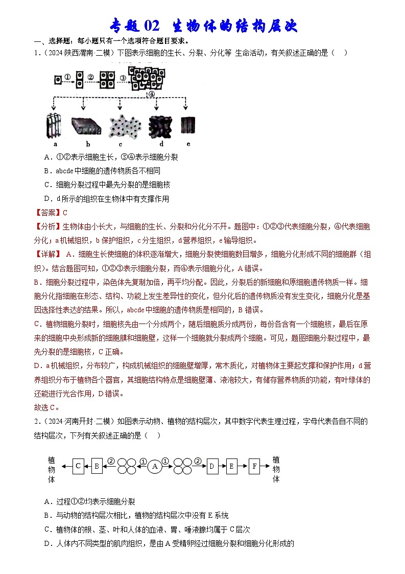 专题02 生物体的结构层次(解析版)第1页