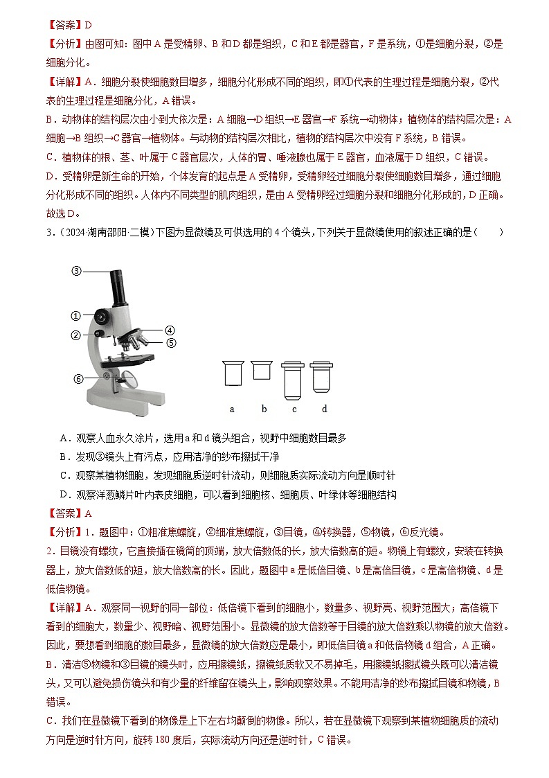 专题02 生物体的结构层次(解析版)第2页
