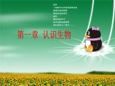 人教版七年级上册第一单元第一节《生物的特征》PPT课件