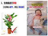 人教版七年级上册第一单元第一节《生物的特征》PPT课件