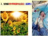人教版七年级上册第一单元第一节《生物的特征》PPT课件