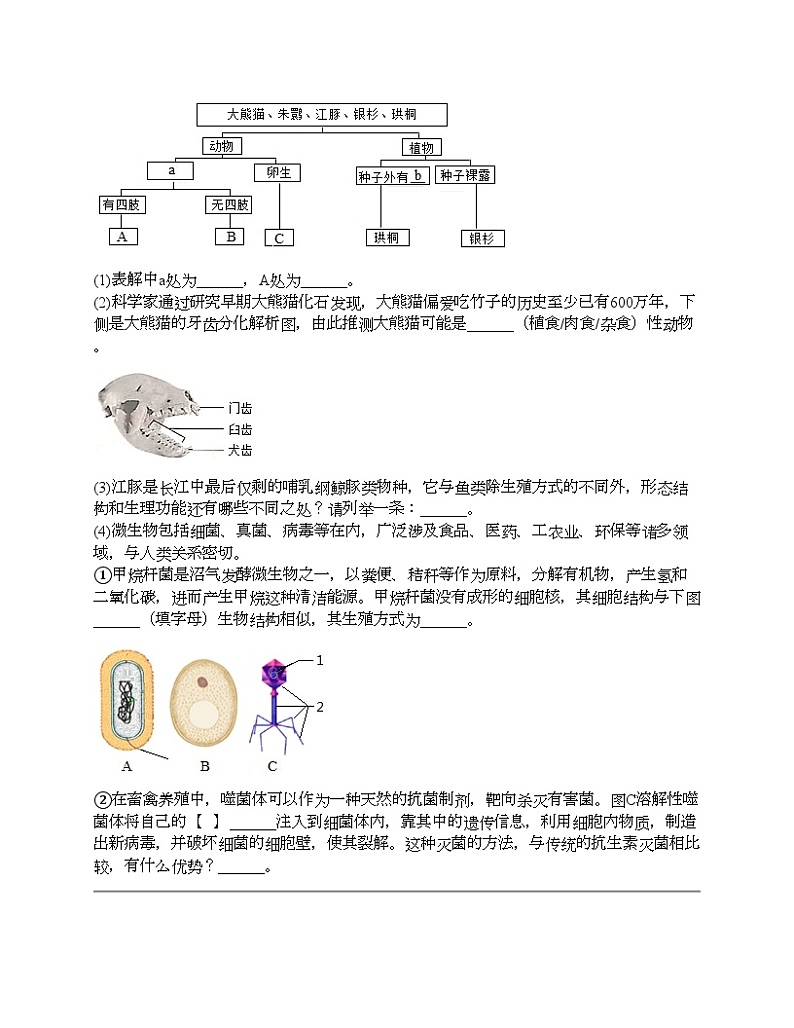 2024北京中考名校密题：生物最后冲刺30题-生物圈中的其他生物第2页