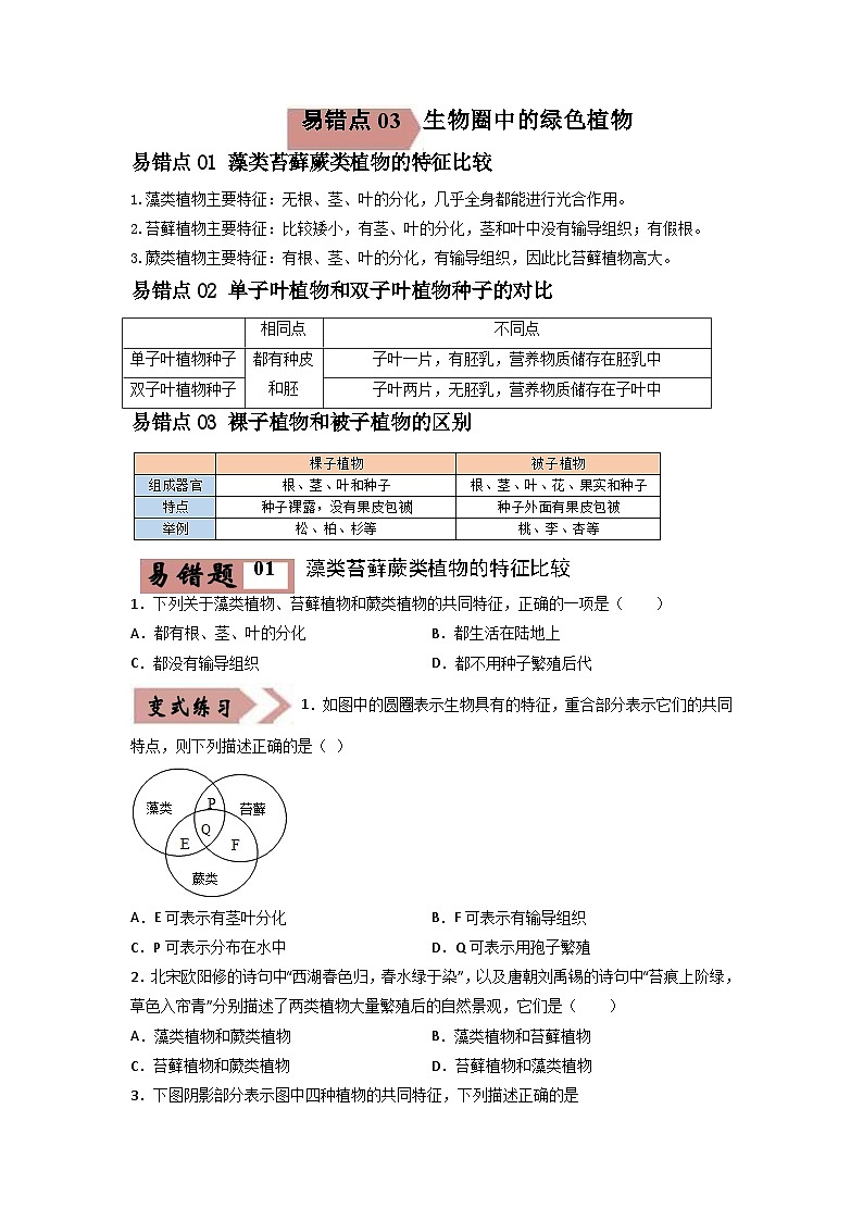易错点03 生物圈中的绿色植物-2024年中考生物考试易错题（原卷版）第1页