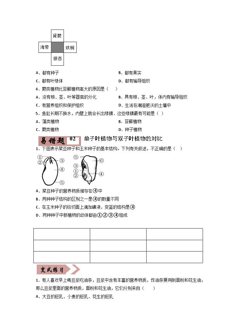 易错点03 生物圈中的绿色植物-2024年中考生物考试易错题（原卷版）第2页