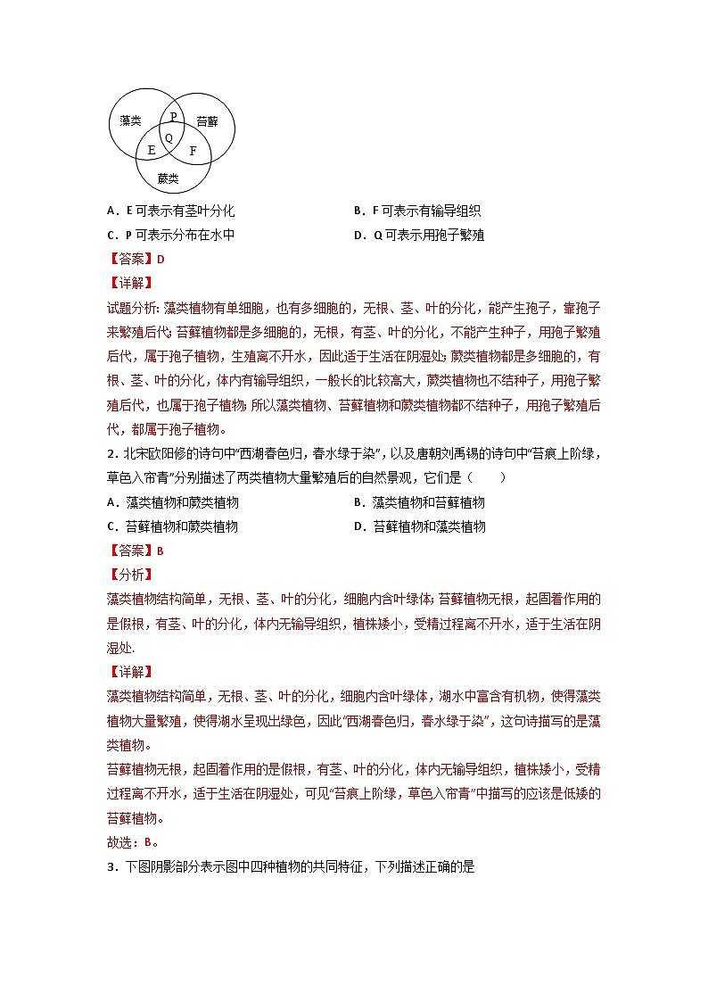 易错点03 生物圈中的绿色植物-2024年中考生物考试易错题（解析版）第2页