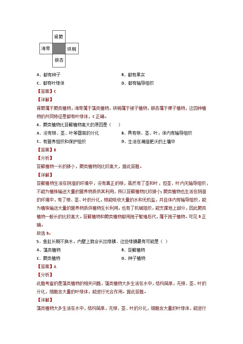 易错点03 生物圈中的绿色植物-2024年中考生物考试易错题（解析版）第3页