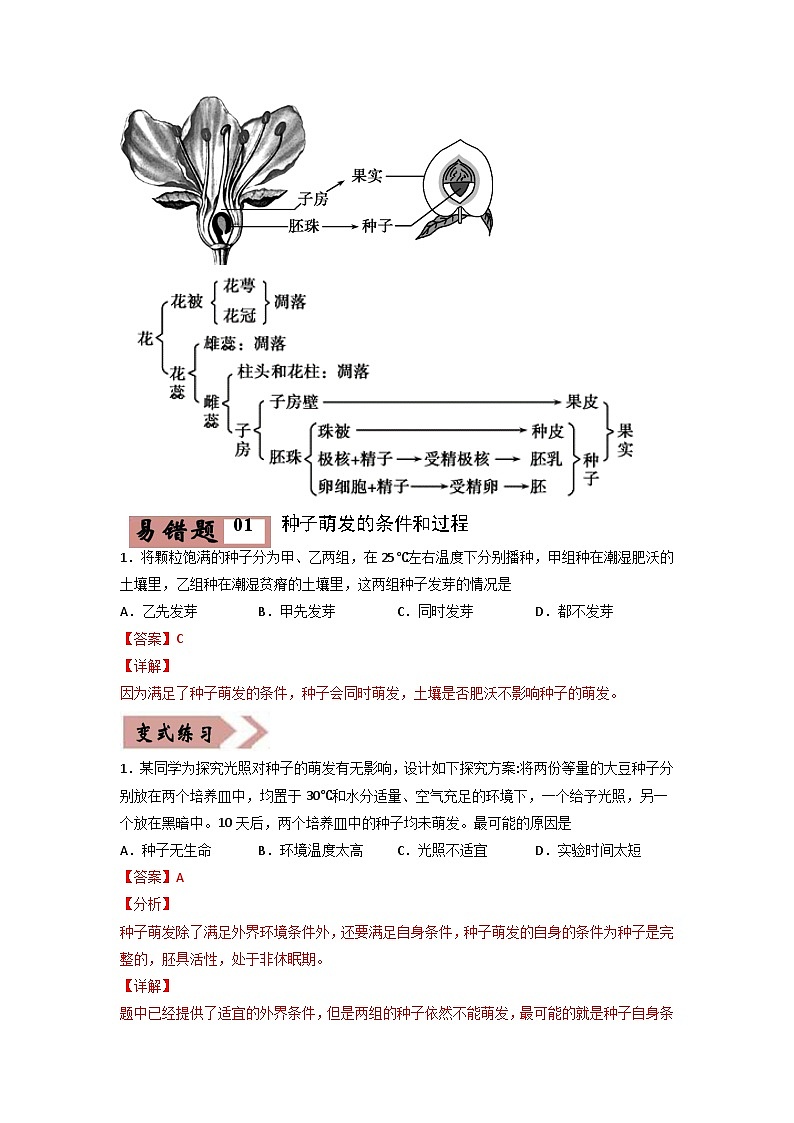 易错点04 被子植物的一生-2024年中考生物考试易错题（解析版）第3页